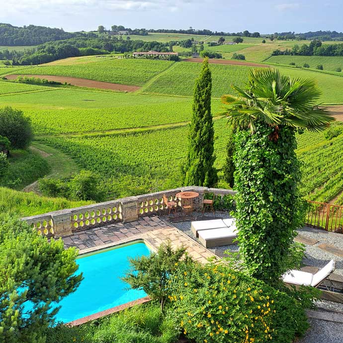 Vue sur les vignes au domaine de la Grave